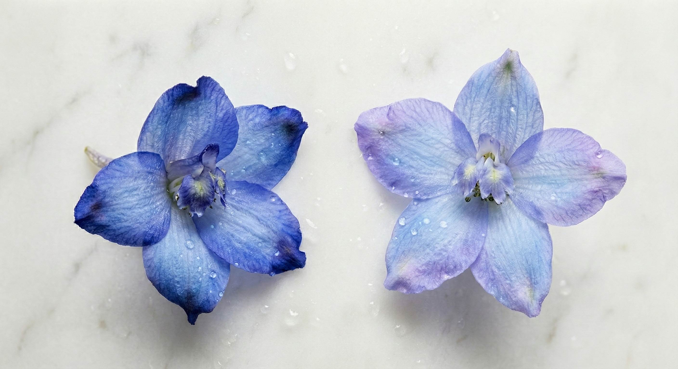 Personality &mdash; No two oneBots are alike